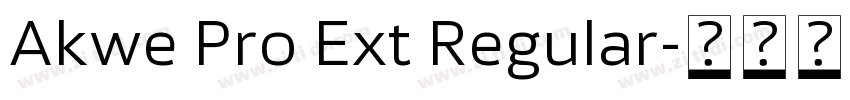Akwe Pro Ext Regular字体转换